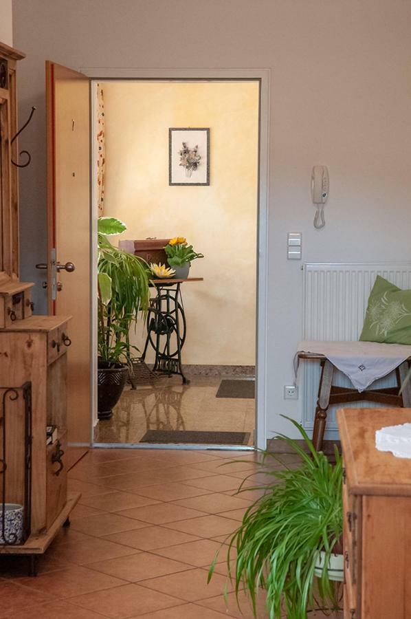 Pension Hiesel-Villa Untersbergblick Anthering Exteriör bild