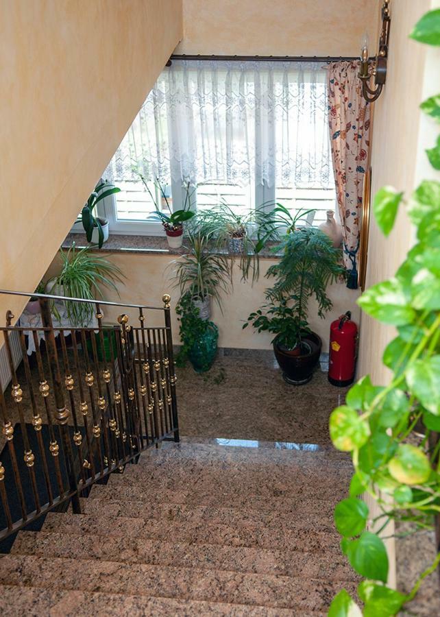 Pension Hiesel-Villa Untersbergblick Anthering Exteriör bild